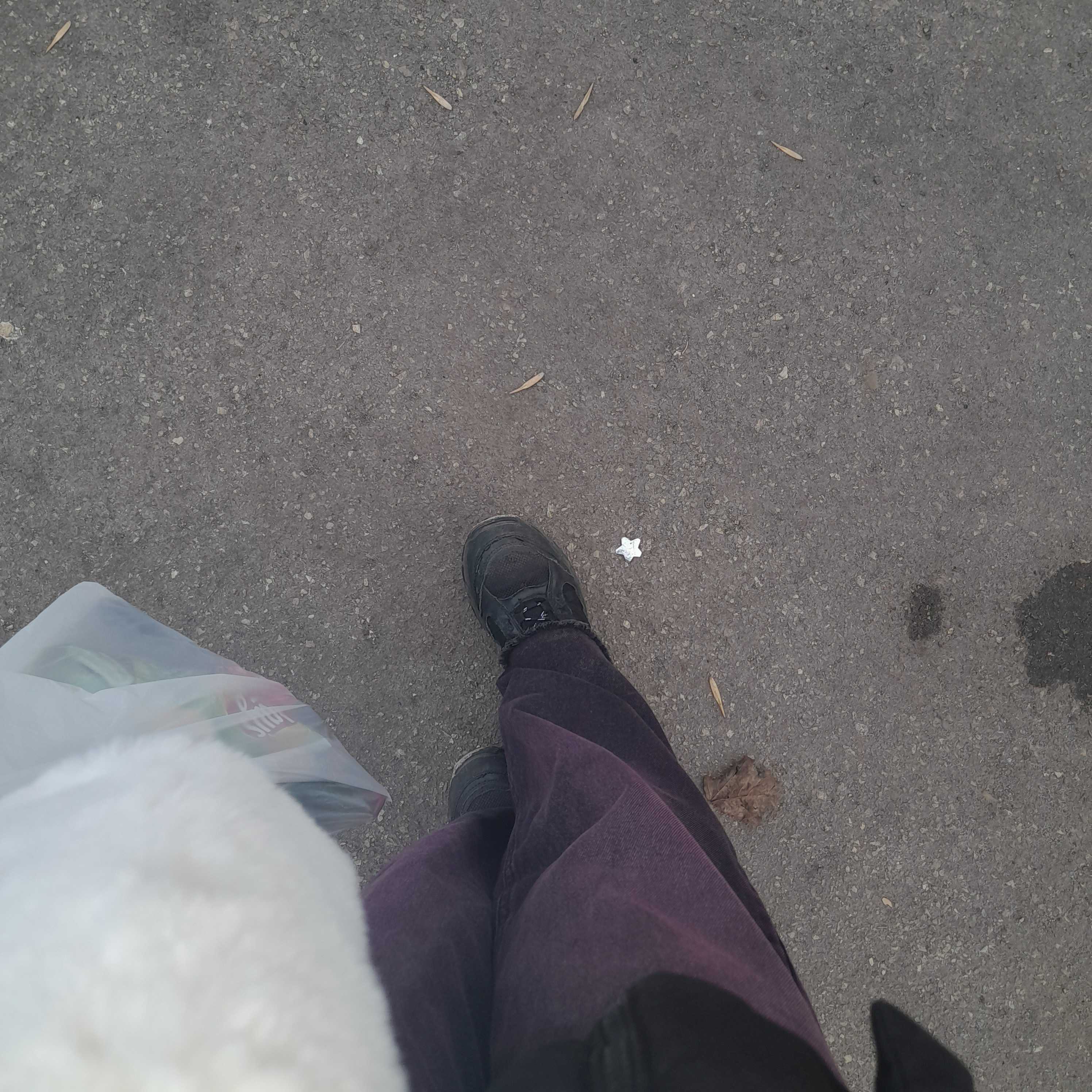 star poking out through asphalt polygons